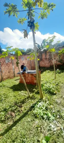 Terreno todo murado 