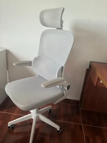 Cadeira de Escritório Ergonômica cinza Giratória com Apoio Lombar e Braços Ajustáveis.