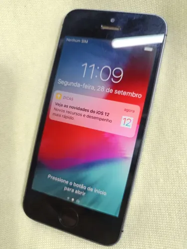 Apple iPhone 5s ok
