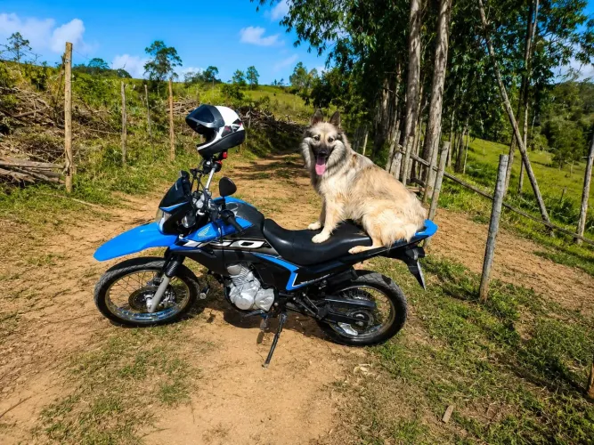 Vende se