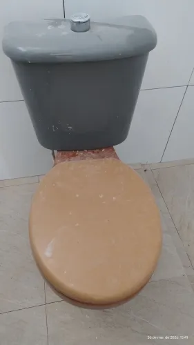 Vendo vaso sanitário completo