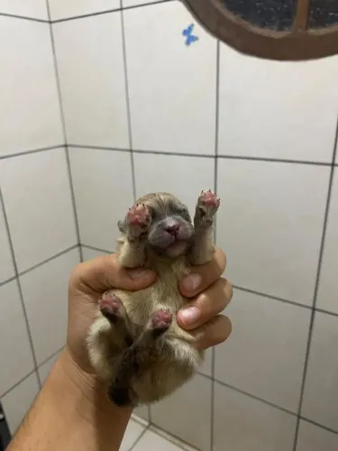 Doação