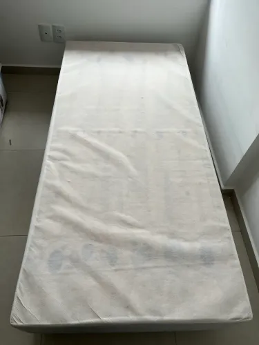 Cama
