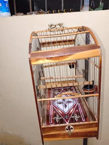 Gaiola padrão torneio de luxo inox fundo removível semi nova pra vender rápido