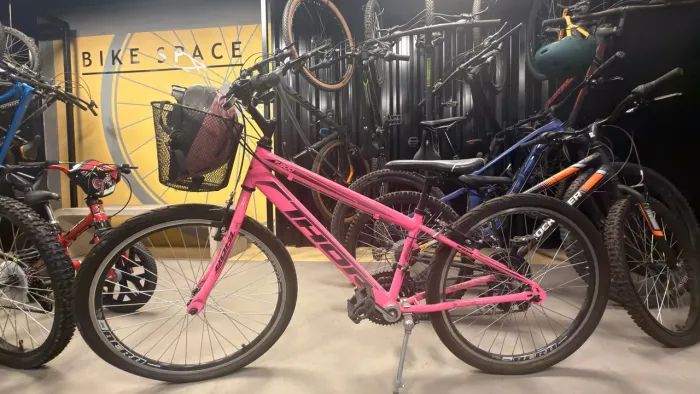 Bicicleta Rosa