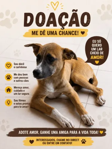 Doação cadela 5 meses