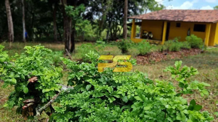 GRANJA COMPLETA À VENDA | CONDE | OPORTUNIDADE!