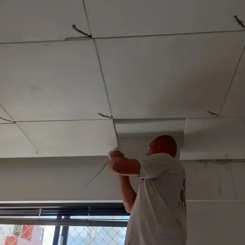 GESSEIRO E PINTOR