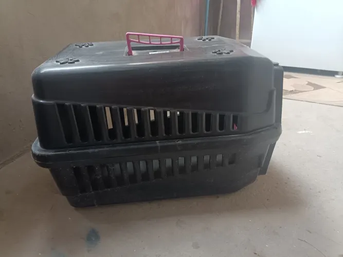 Tô vendo uma caixa de transporte pet 
