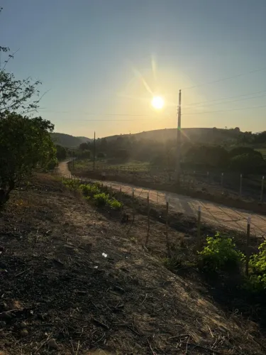 Sítio com 05 hectares em São Luiz divisa com Joaquim Gomes