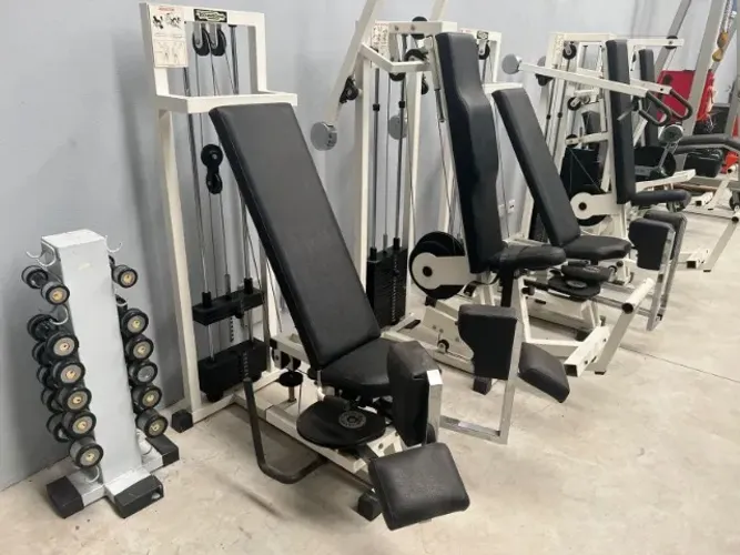 LOTE TECHNOGYM MAQUINAS DE MUSCULAÇÃO