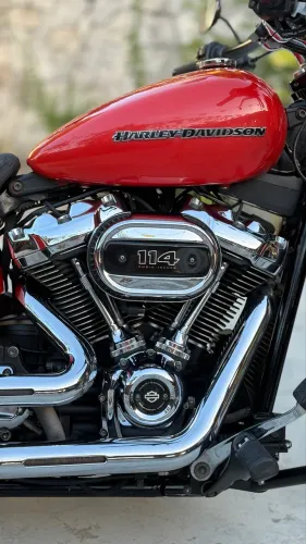 HARLEY-DAVIDSON BREAKOUT (FXBRS) 2019/2020