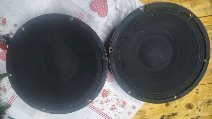 Woofer 12" 8 ohms Profissional Sound Workes