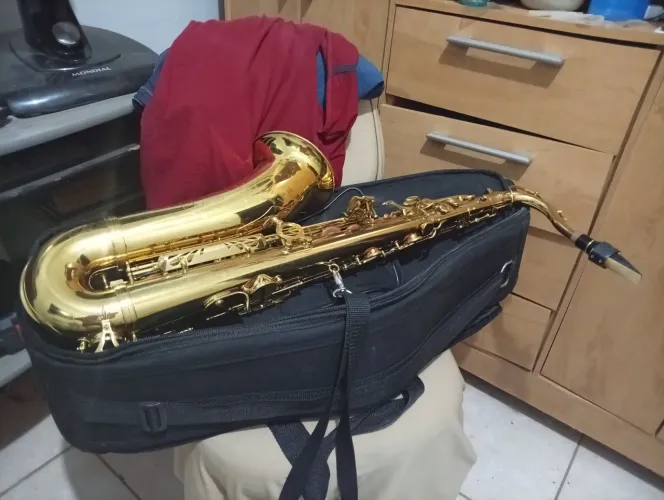 Sax tenor Michael recém revisado vendo/troco.