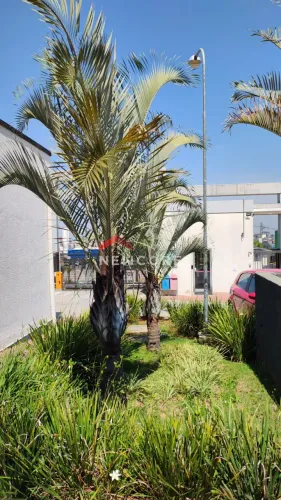 Apartamento em Estrada do Caminho Velho - Jardim Nova Cidade - Guarulhos/SP