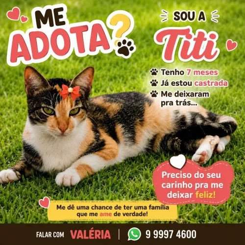 Princesa TRICOLOR 