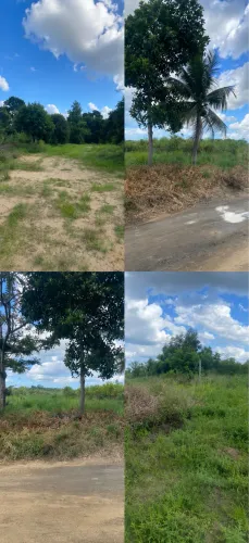 Dois terrenos rurais com boa localização LINHARES ES