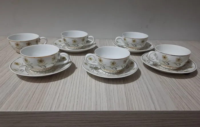 6 xicaras e 5 pires de café porcelanas schmidt