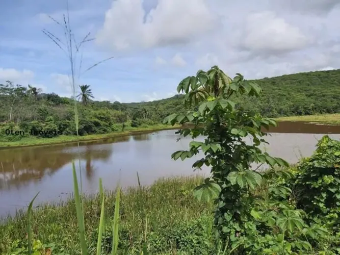 Terreno para Venda em São Lourenço da Mata, Muribara