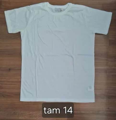 Camisetas menino (tamanho 14)