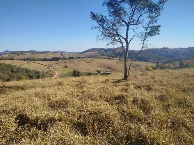 Terreno em Claudio MG. 900 mil metros 90 hectares Para Café, soja, Milho ou gado 130 km de