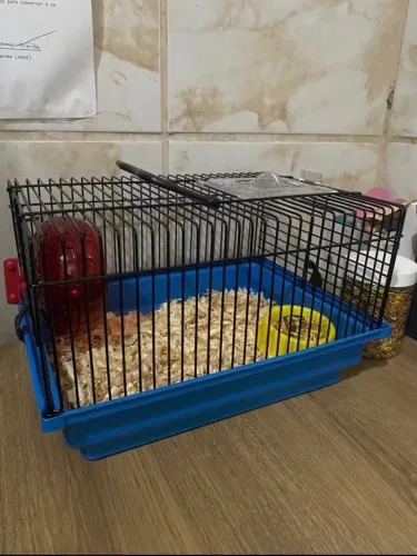 Gaiola + brinquedos 