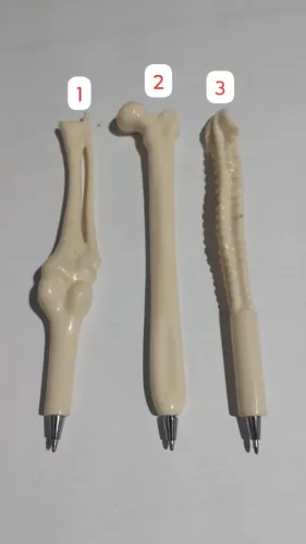 Canetas Osso