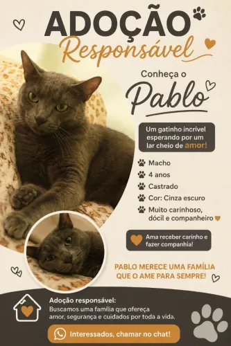 Adoção Responsável