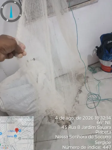 vendo tarrafa toda perfeitinha 300 pra vende logo chamar no zap *91