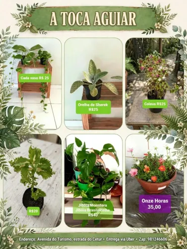 Mais Natureza Para a sua Vida
