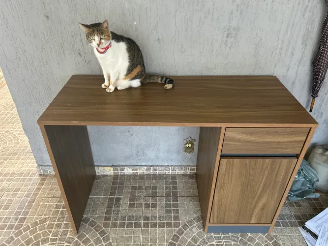 Escrivaninha mesa de escritorio