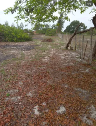 Lote à Venda no Loteamento Angelim  1.500 m²