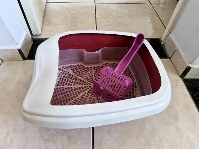 Bandeija sanitária para doação