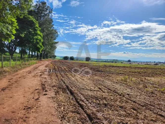 Área à venda, 169400 m² por R$ 35.000.000,00 - Zona Rural - Artur Nogueira/SP