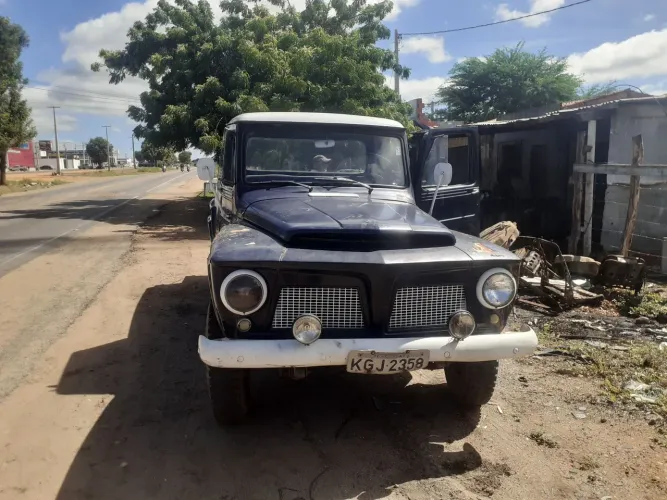 Chevrolet Pick Up Pick UP 1969