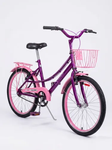 Bicicleta Feminina Infantil Aro 20