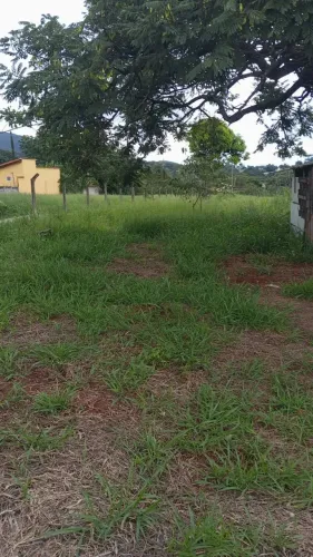 Imóvel para venda possui 1000 metros quadrados em Santa Mônica - Igarapé - MG