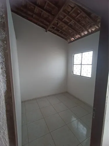 Vendo Cada No Frei Damião
