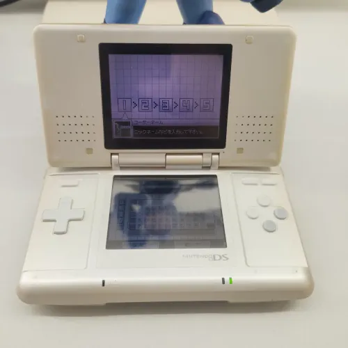 Nintendo DS FAT