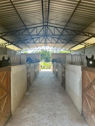 Haras em Lagoinha - SP