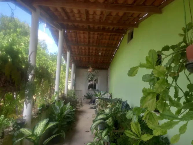 Casa no Retiro, Fazenda papagaio coração de Maria