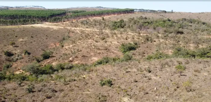 Imóvel para venda possui 20000 metros quadrados em Zona Rural - Cordisburgo - MG