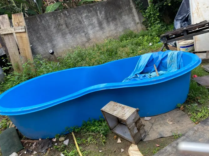 Piscina feijão 1000 l