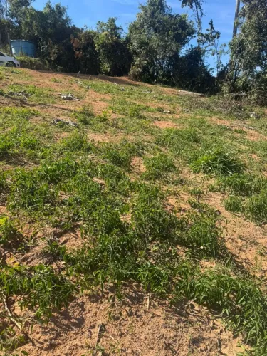 Vendo lote Valeria Catas altas