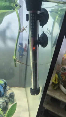 Termostato Oceantech 100w 220v