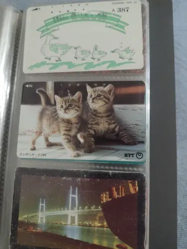 Item coleção 