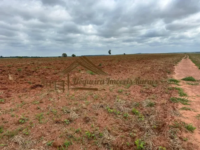 Fazenda com 109 alqueires na região de Avaré-SP