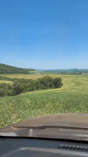 Vend -Fazenda na regiao de Faxinal Pr
