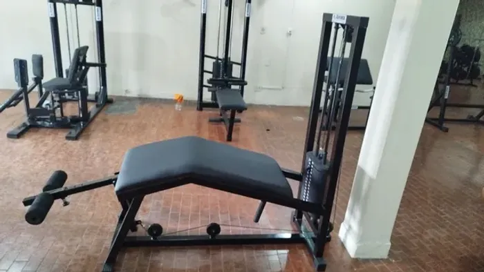 Mesa flexora 