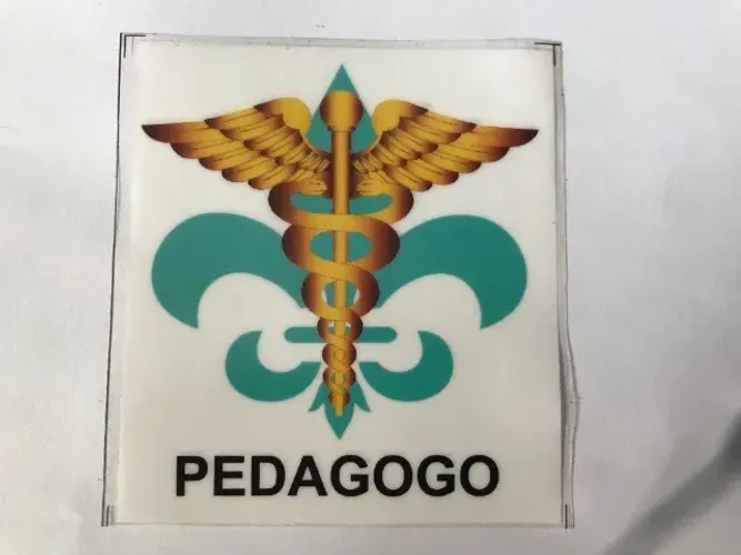 Adesivo Pedagogo para colagem interno no vidro do Carro